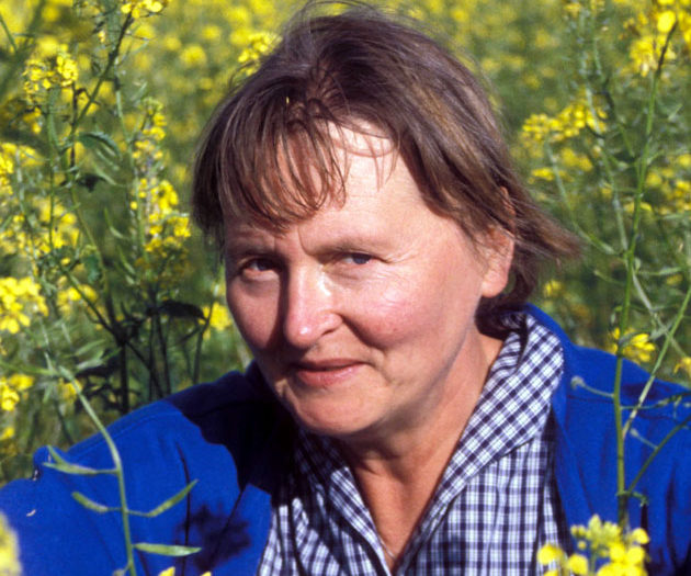 Künstler,